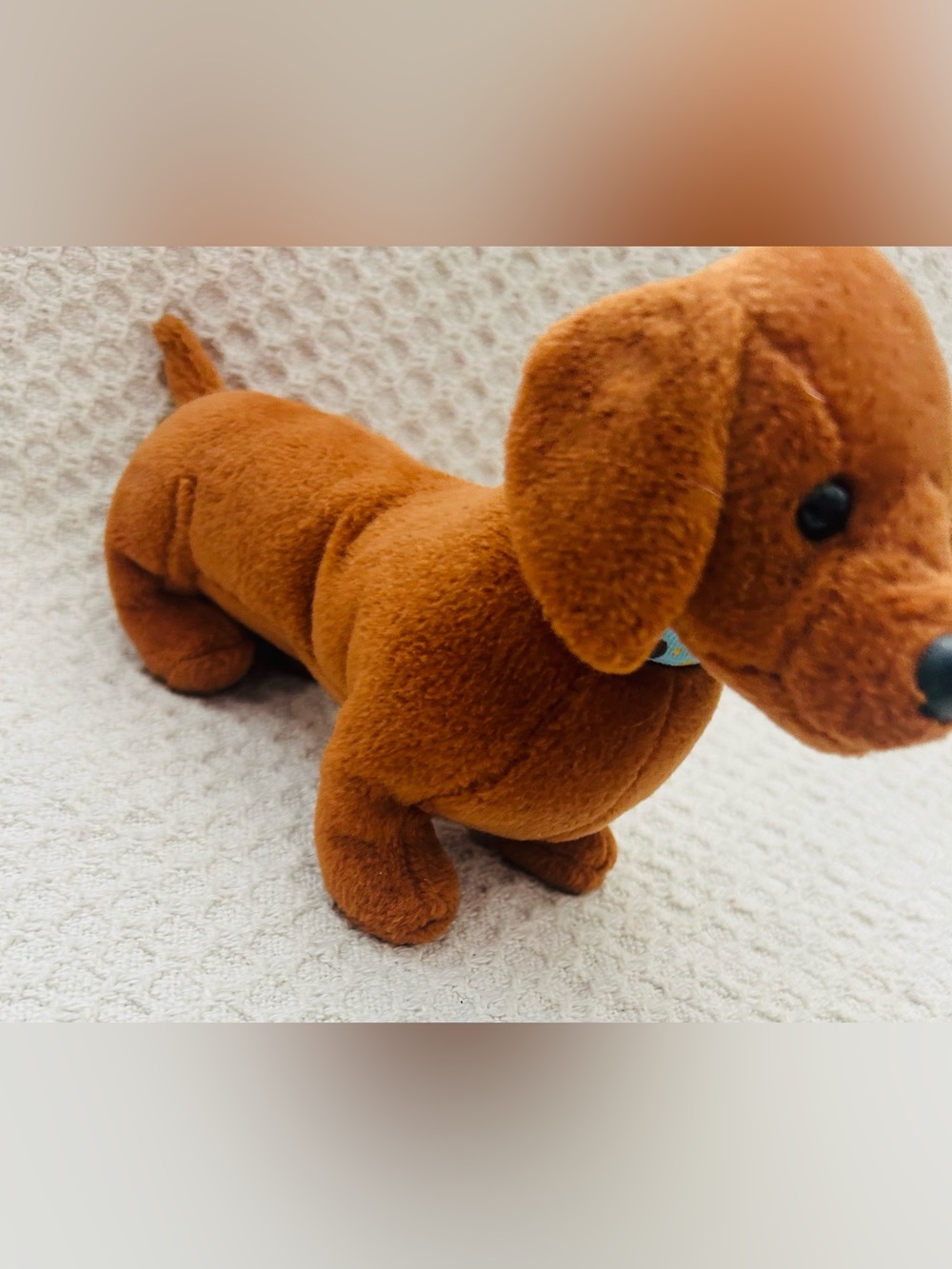 Frank the Dachshund Ty Beanie baby 2008